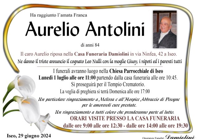 Sig. Aurelio Antolini