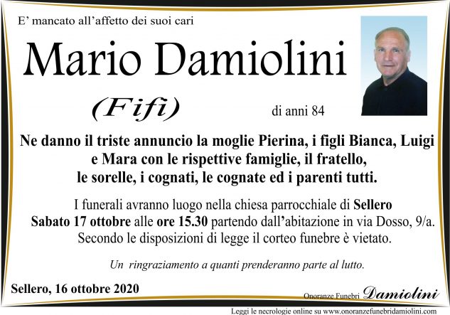 Sig. Mario Damiolini