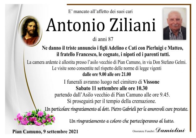 Sig. Antonio Ziliani